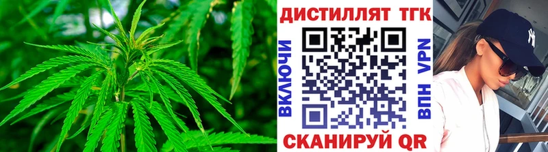 OMG ССЫЛКА  Саров  ТГК гашишное масло  купить закладку 