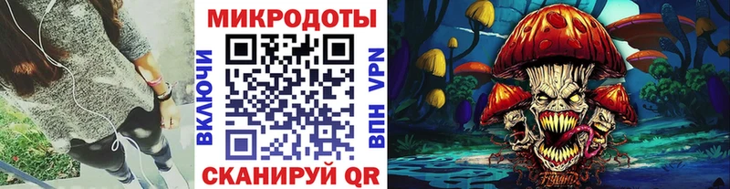 Галлюциногенные грибы Psilocybine cubensis  Саров 