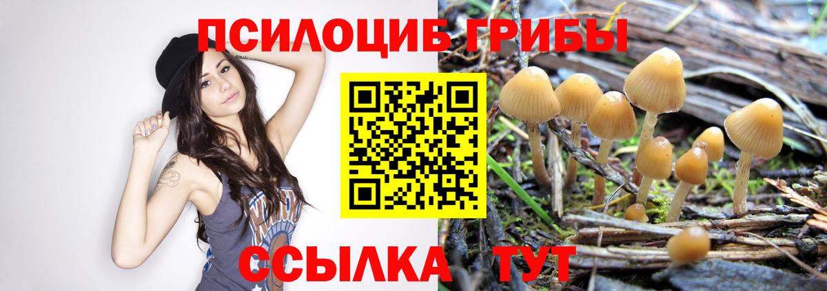 Галлюциногенные грибы ЛСД Саров